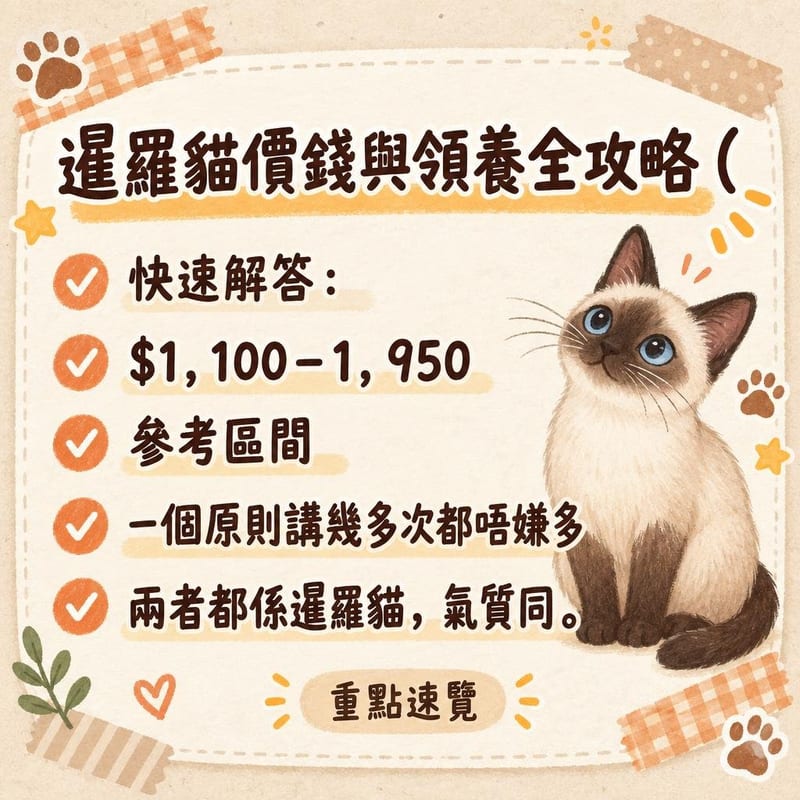 一隻傳統蘋果頭暹羅貓同一隻現代楔頭型暹羅貓並排坐喺木地板上，外形對比鮮明