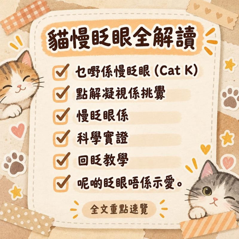 貓慢眨眼全解讀｜PetChill 圖卡整理