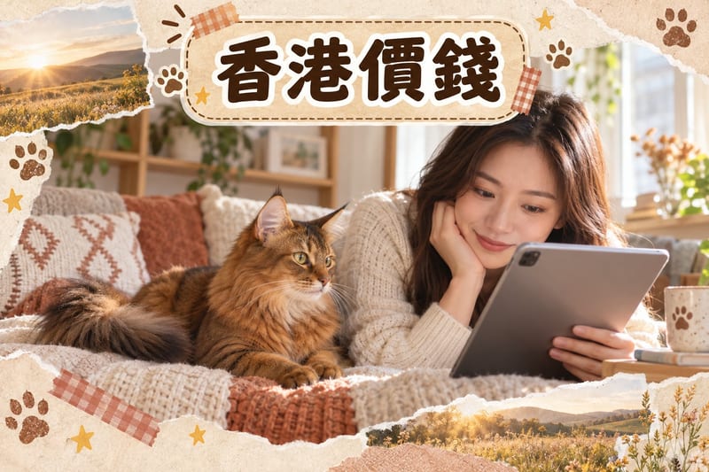 香港家居客廳,一隻索馬里貓坐喺木地板伸懶腰,旁邊係貓砂盆同水碗