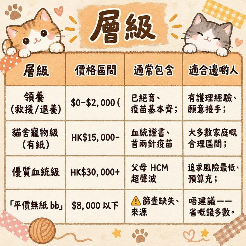 sphynx-price-adopt-hk 知識圖卡1