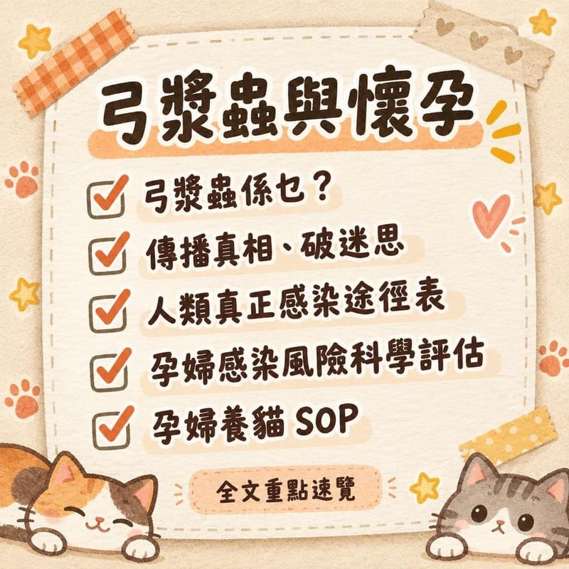 弓漿蟲與懷孕|PetChill 圖卡整理