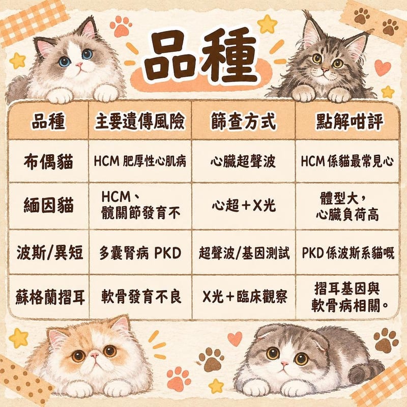 品種|PetChill 圖卡整理