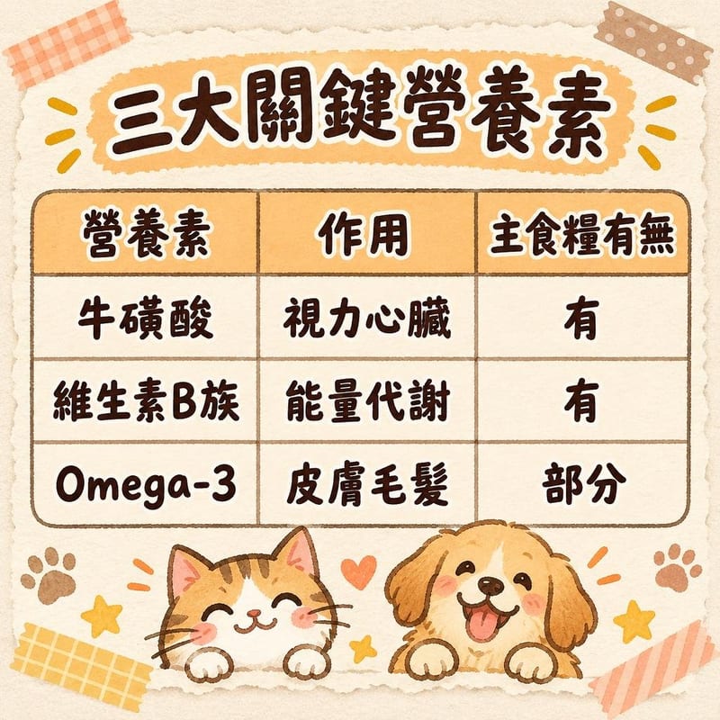 vitamin-supplements-cat 知識圖卡1