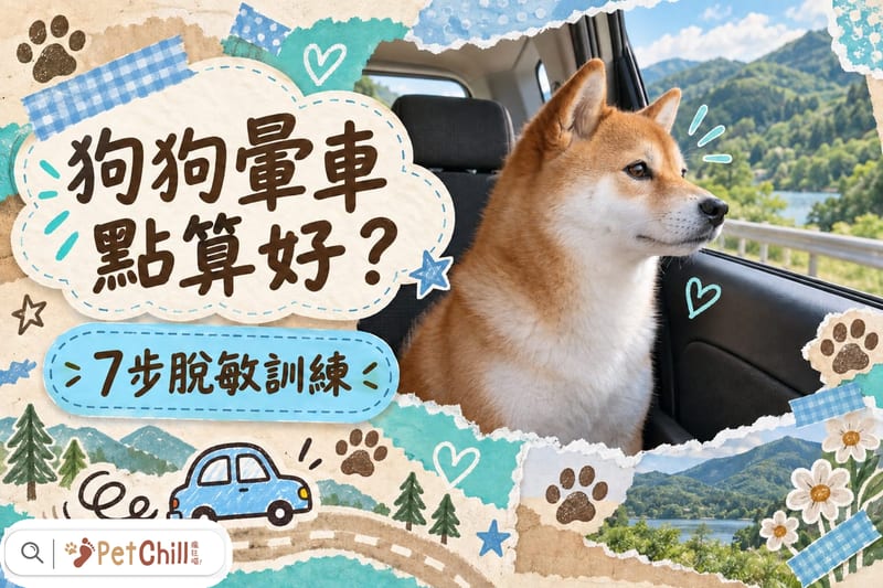 狗狗暈車點算好?暈動症3大成因+7步脫敏訓練+乘車安全須知