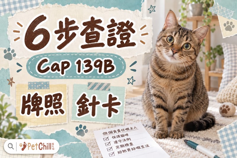 手帳風海報:啡虎斑短毛貓旁邊有清單紙,標示 6 步查證同 Cap 139B