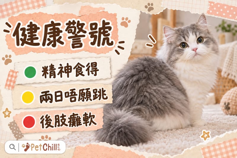 海報圖卡:健康警號紅綠燈,由精神食得到後肢癱軟嘅三級判別