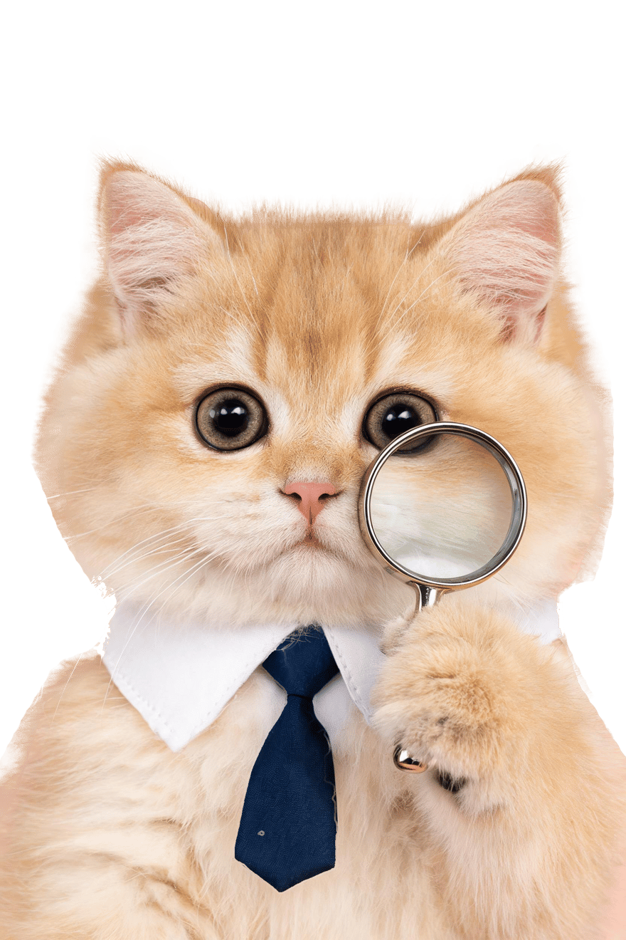 PetChill 西裝貓教授拿住放大鏡,幫你審視寵物課程