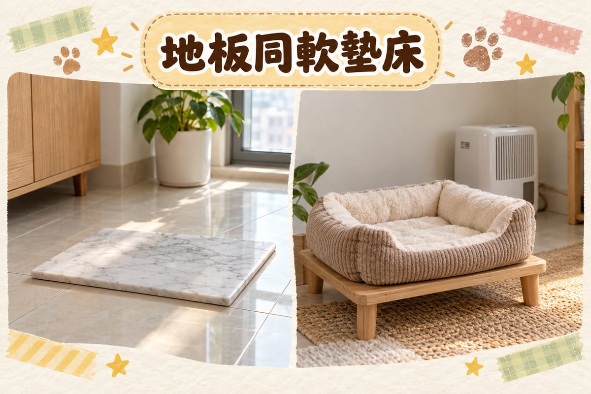 磁磚地板同軟墊貓床並排對照，左邊地板放住雲石墊，右邊貓床墊放喺離地矮凳上，牆邊有抽濕機