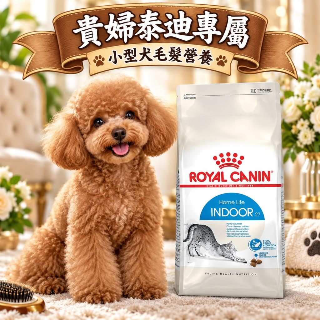 Royal Canin 貴婦犬泰迪專屬營養:品種糧顆粒設計與毛髮護理