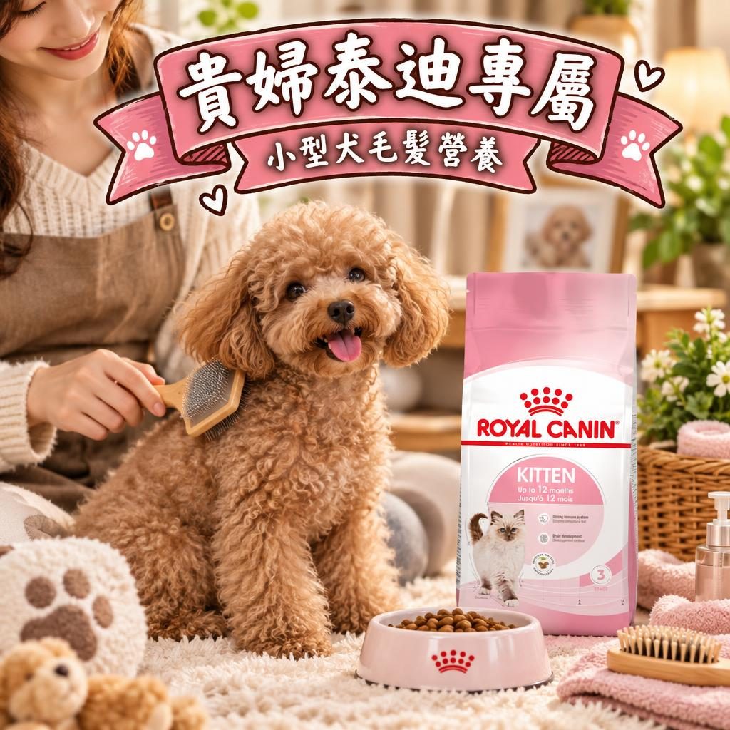 法國皇家 royal-canin-poodle-teddy 示意圖 2
