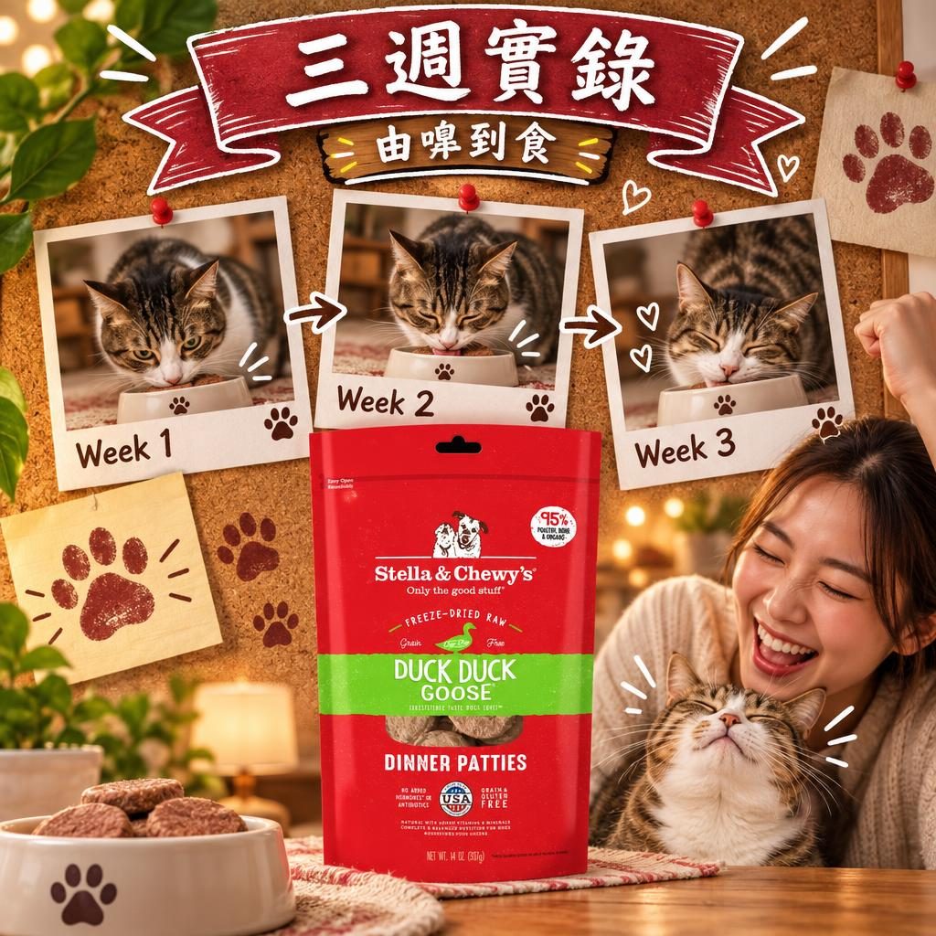 三週實錄｜由嗅到食