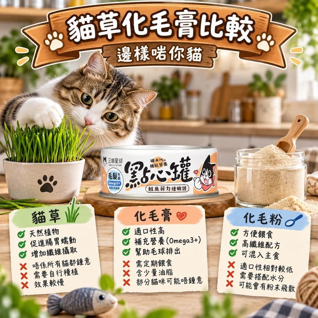 汪喵星球 hairball-powder 情境圖 3