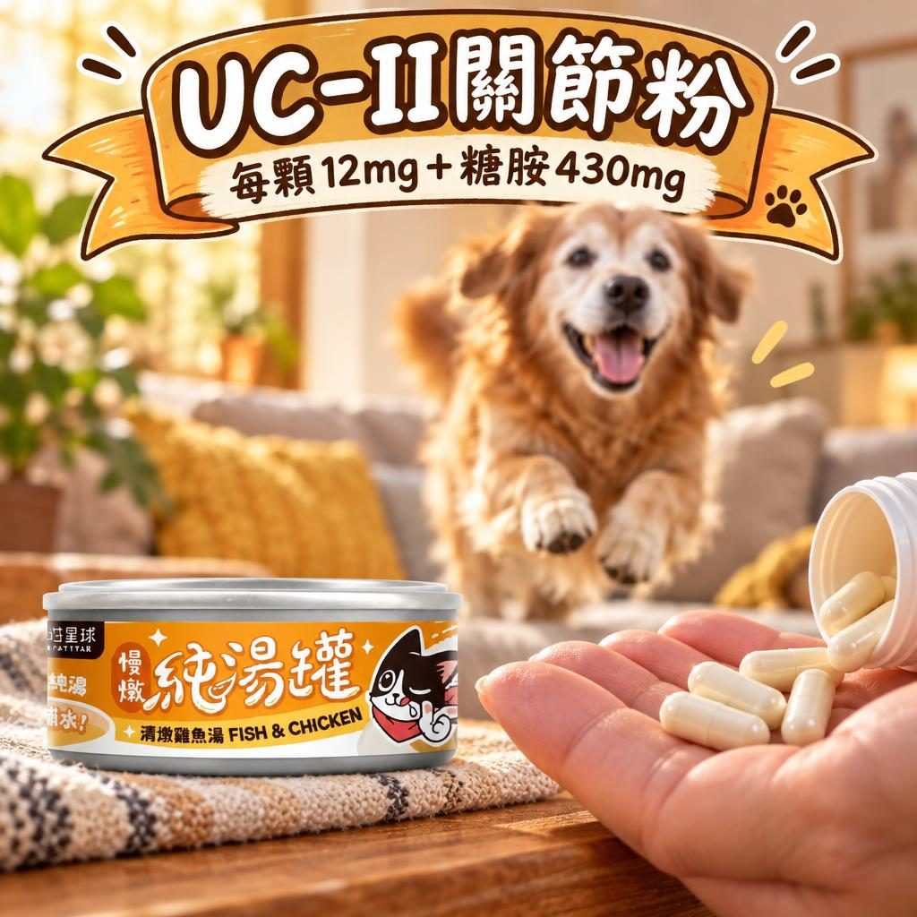 汪喵星球 supplement-guide 情境圖 2