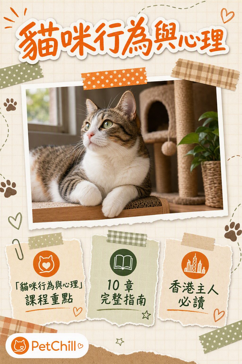 貓咪行為與心理課程封面