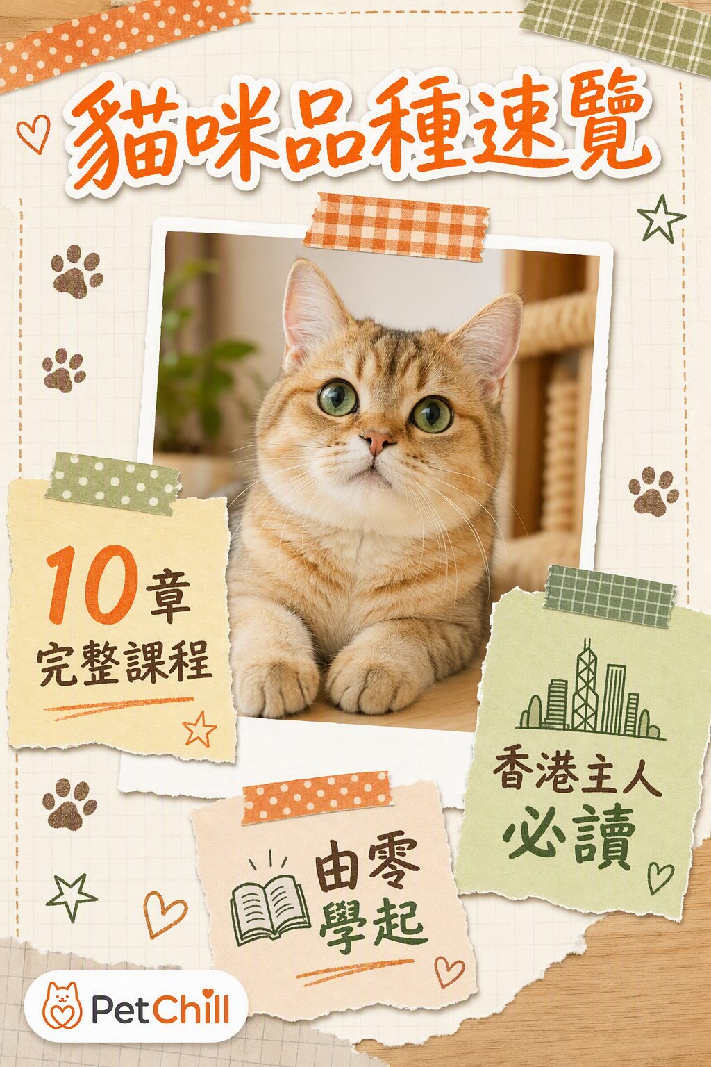 貓咪品種速覽課程封面