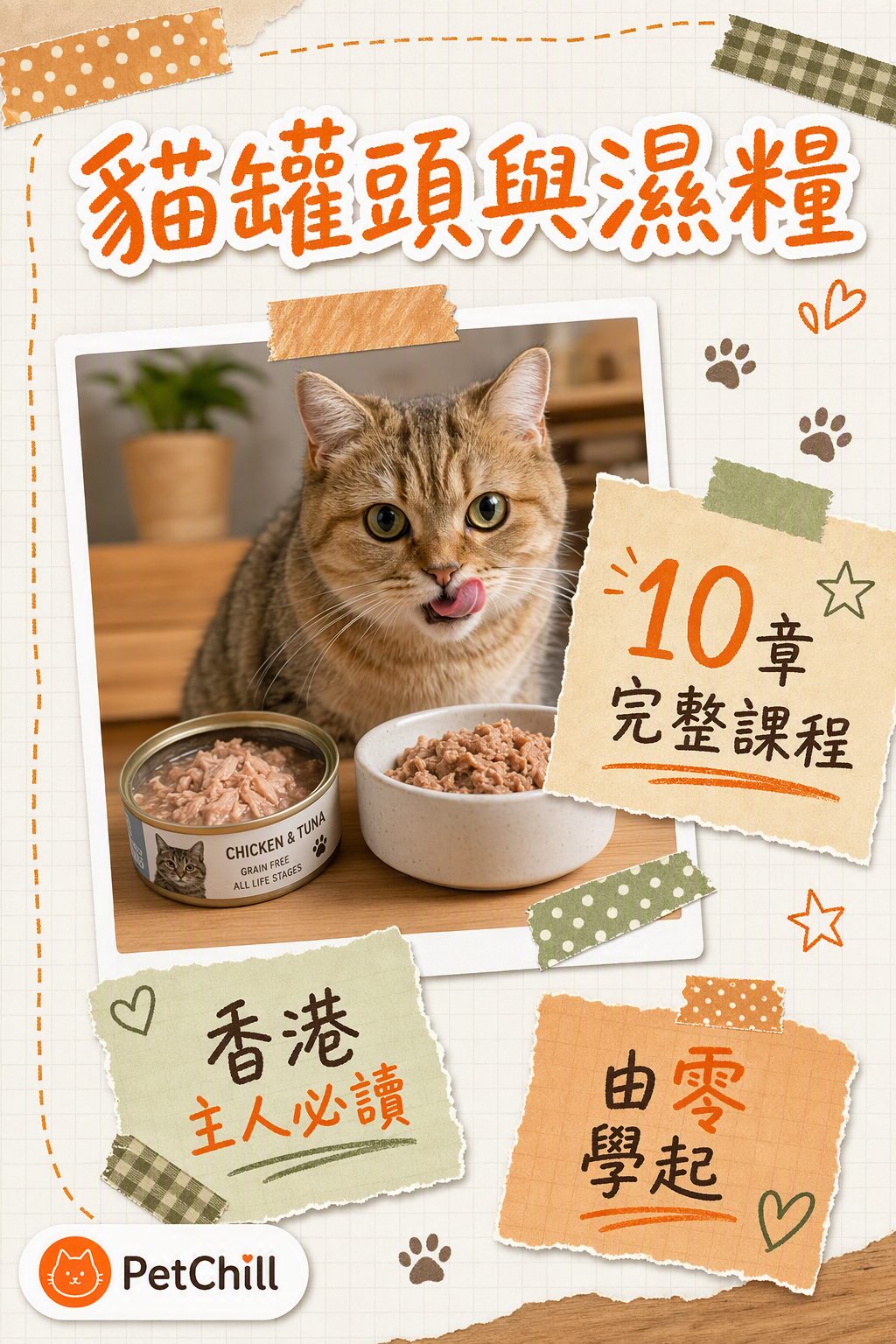 貓罐頭與濕糧課程封面
