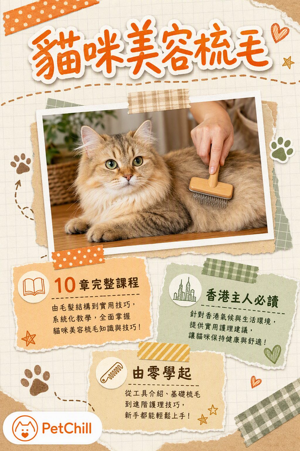 貓咪美容梳毛課程封面