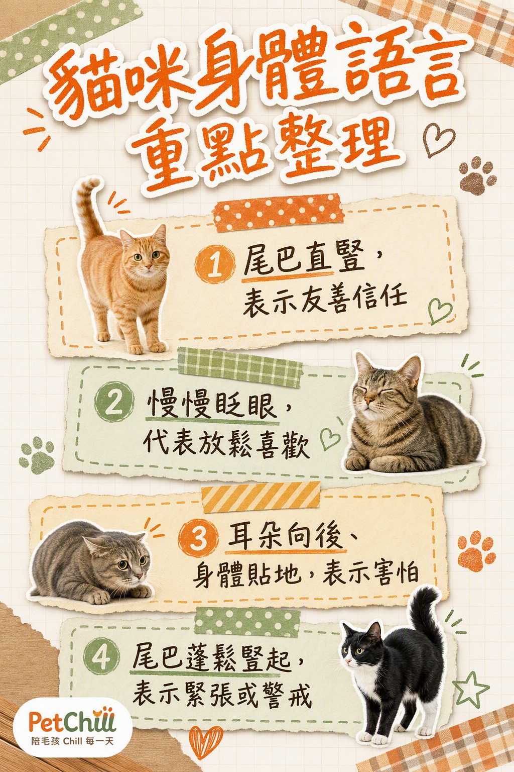 章節內容
