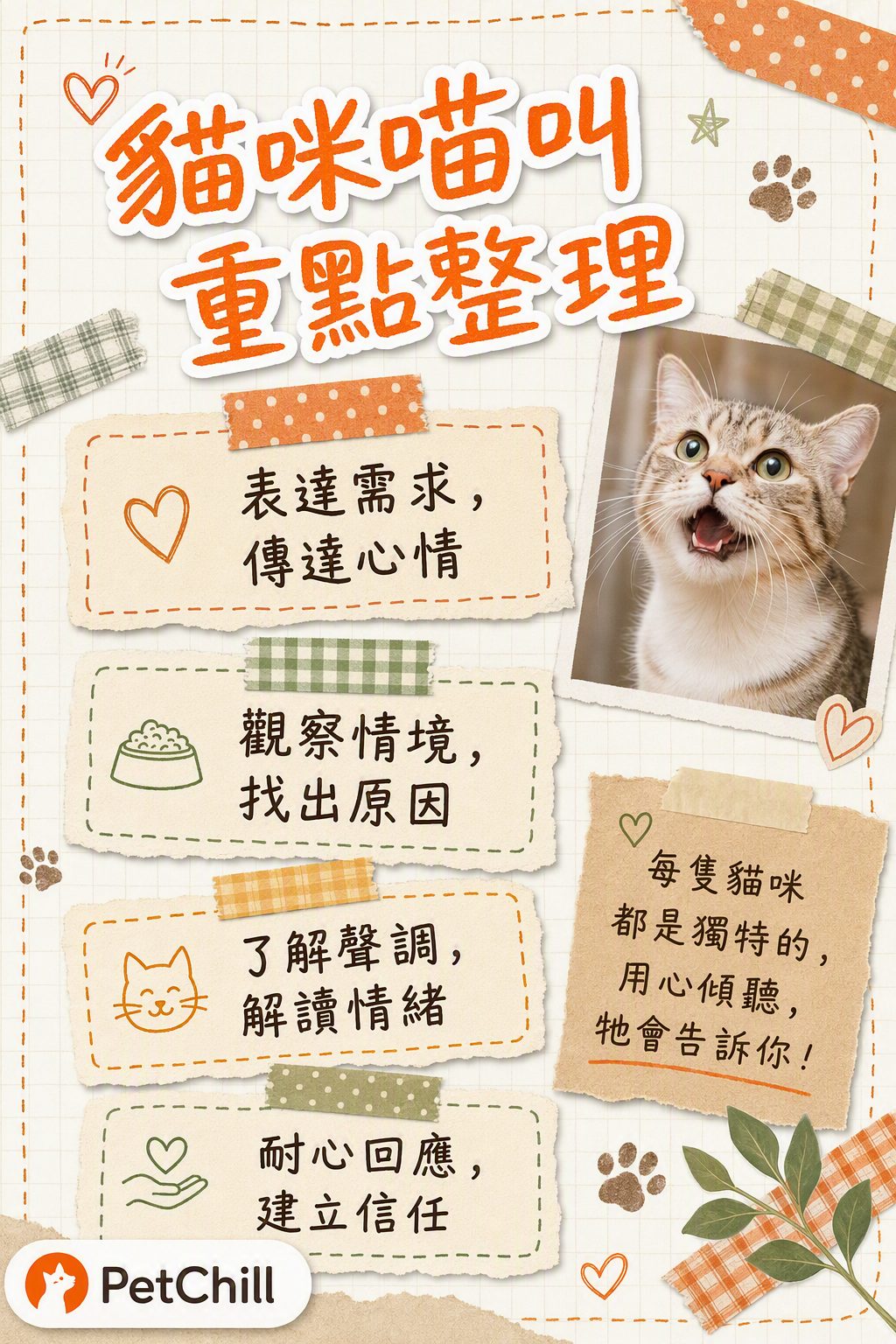 章節內容