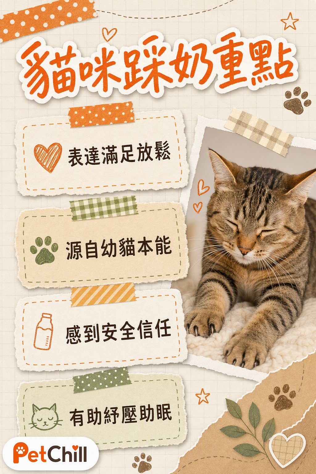 章節內容