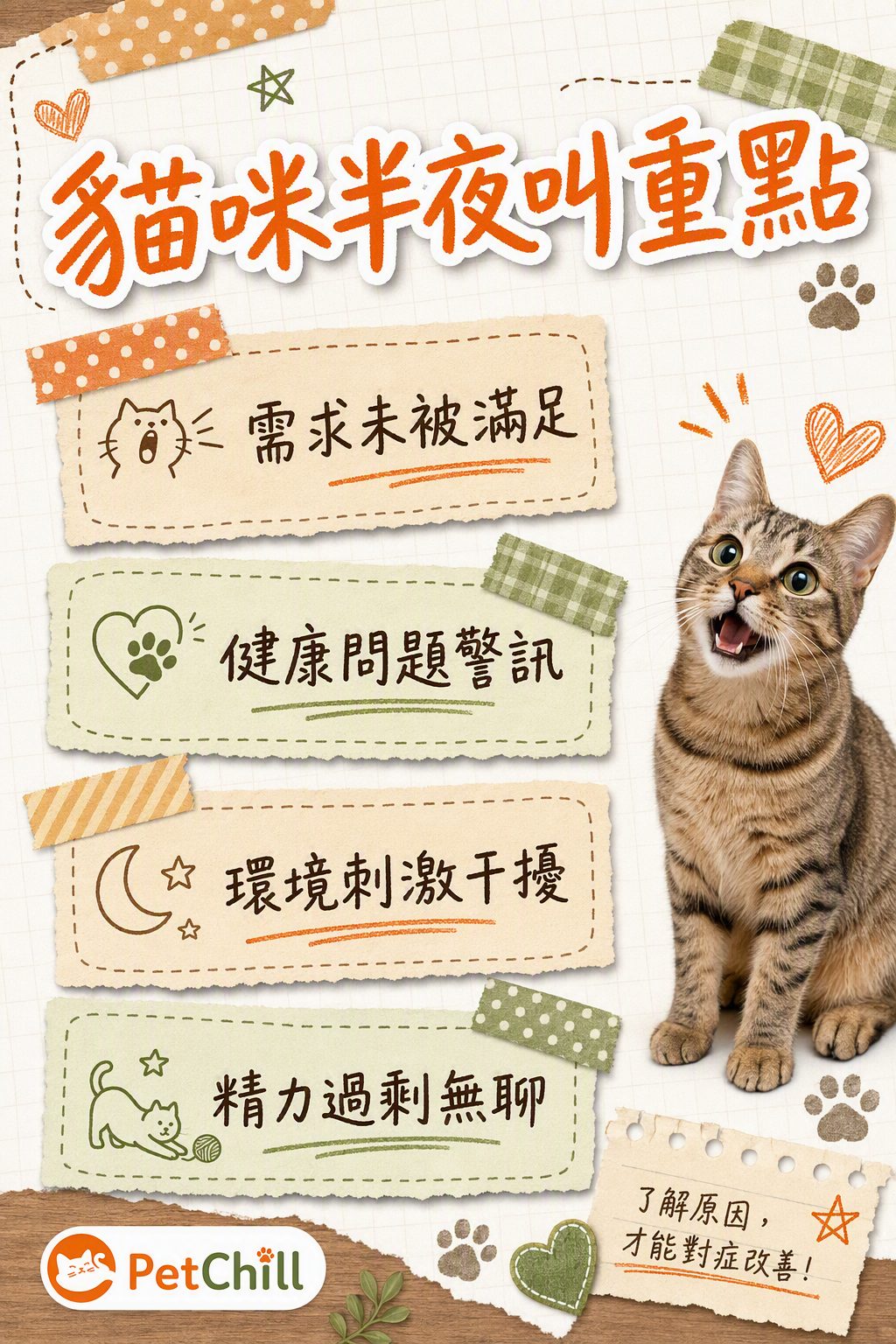 章節內容