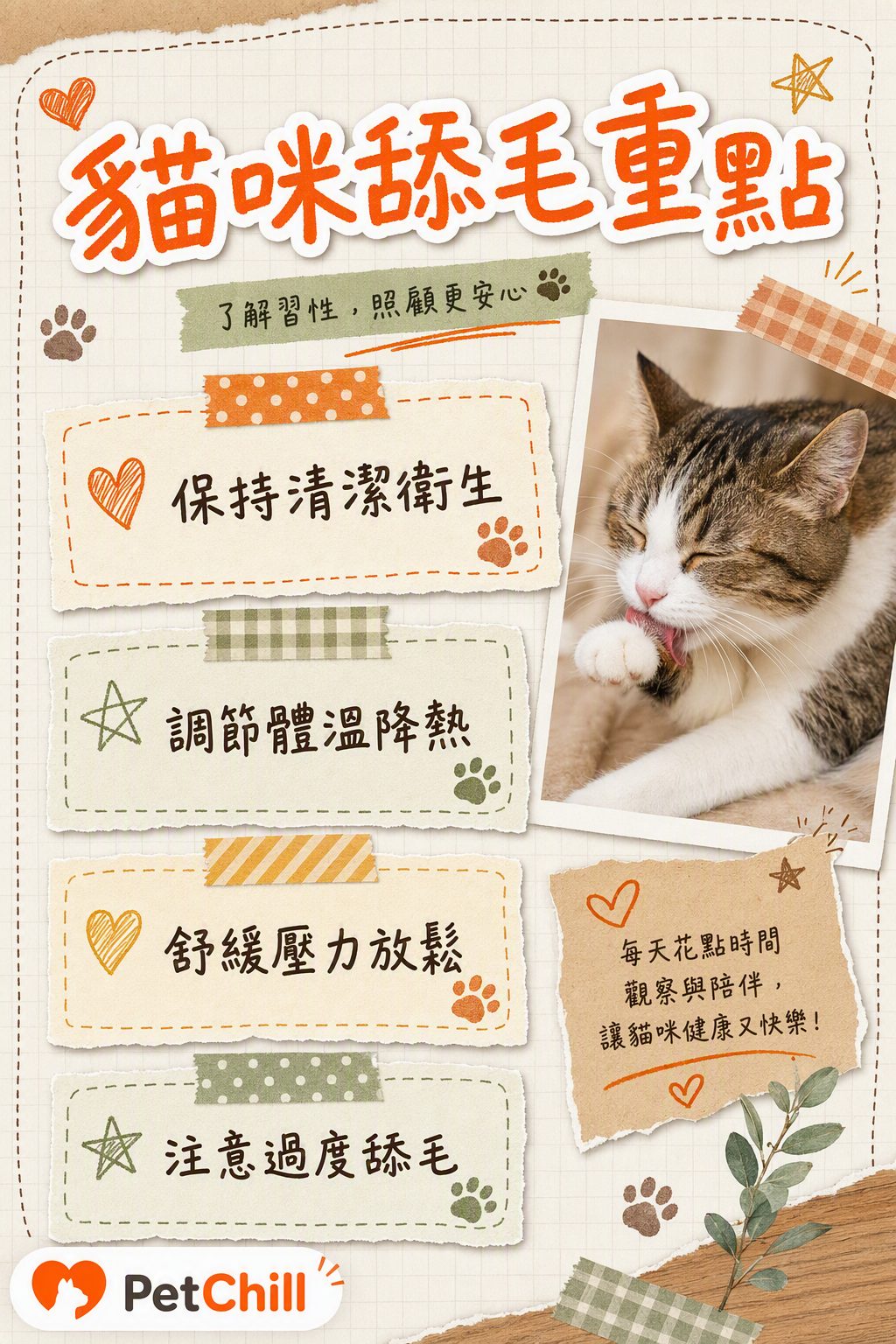 章節內容