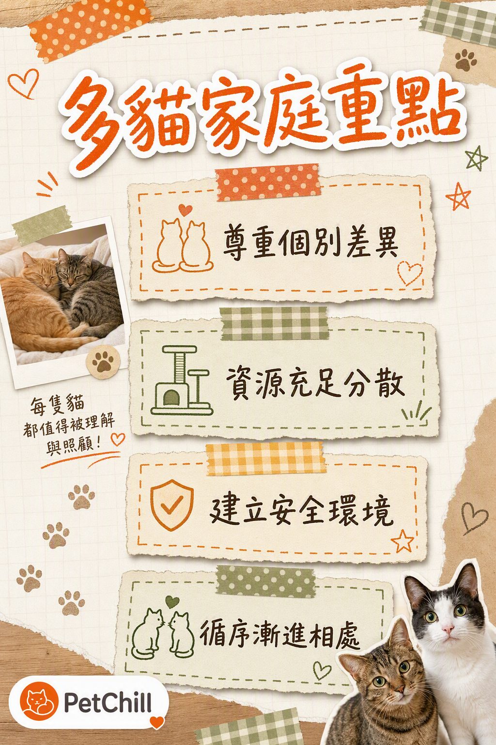 章節內容