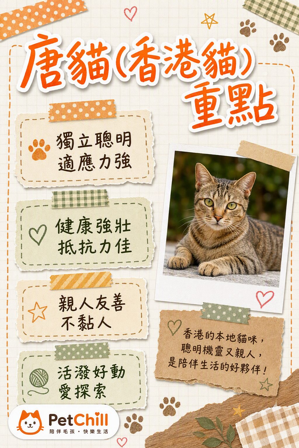 章節內容