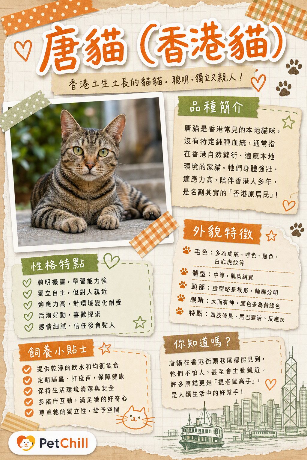 章節主題