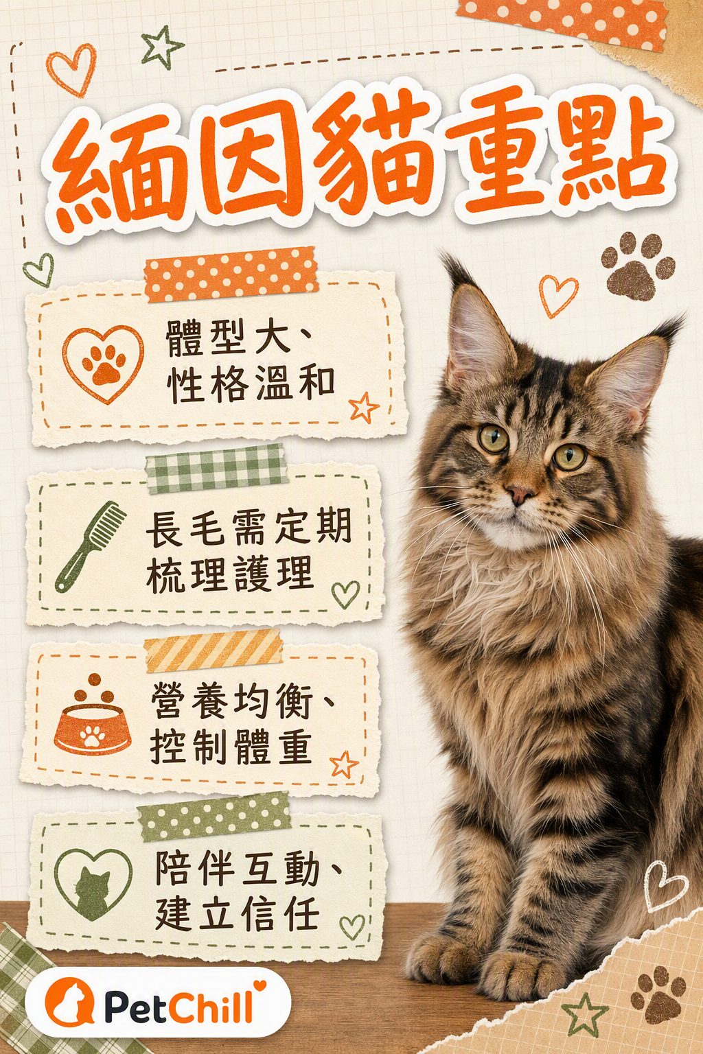 章節內容
