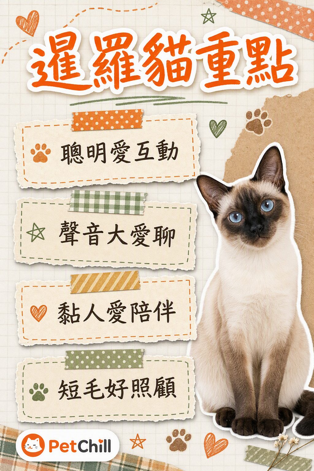 章節內容