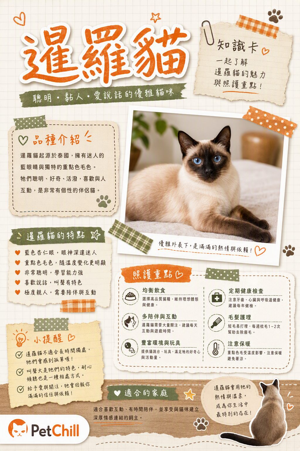 章節主題