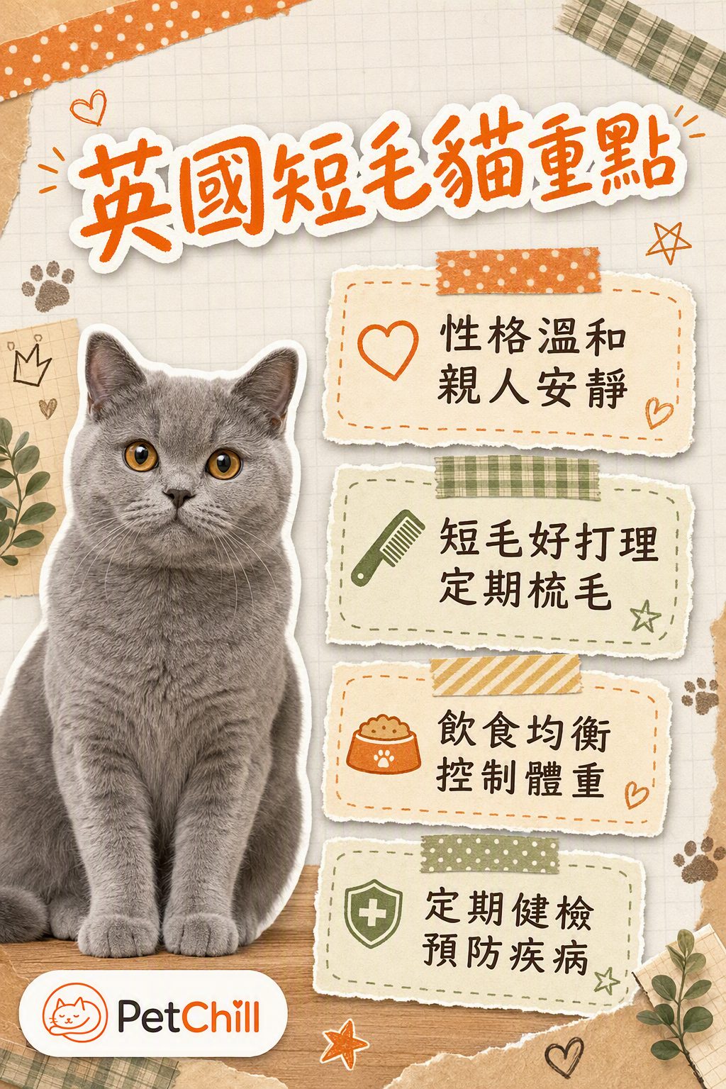 章節內容
