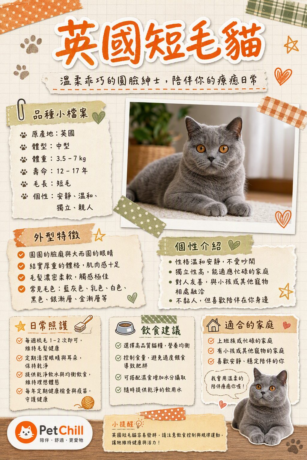 章節主題