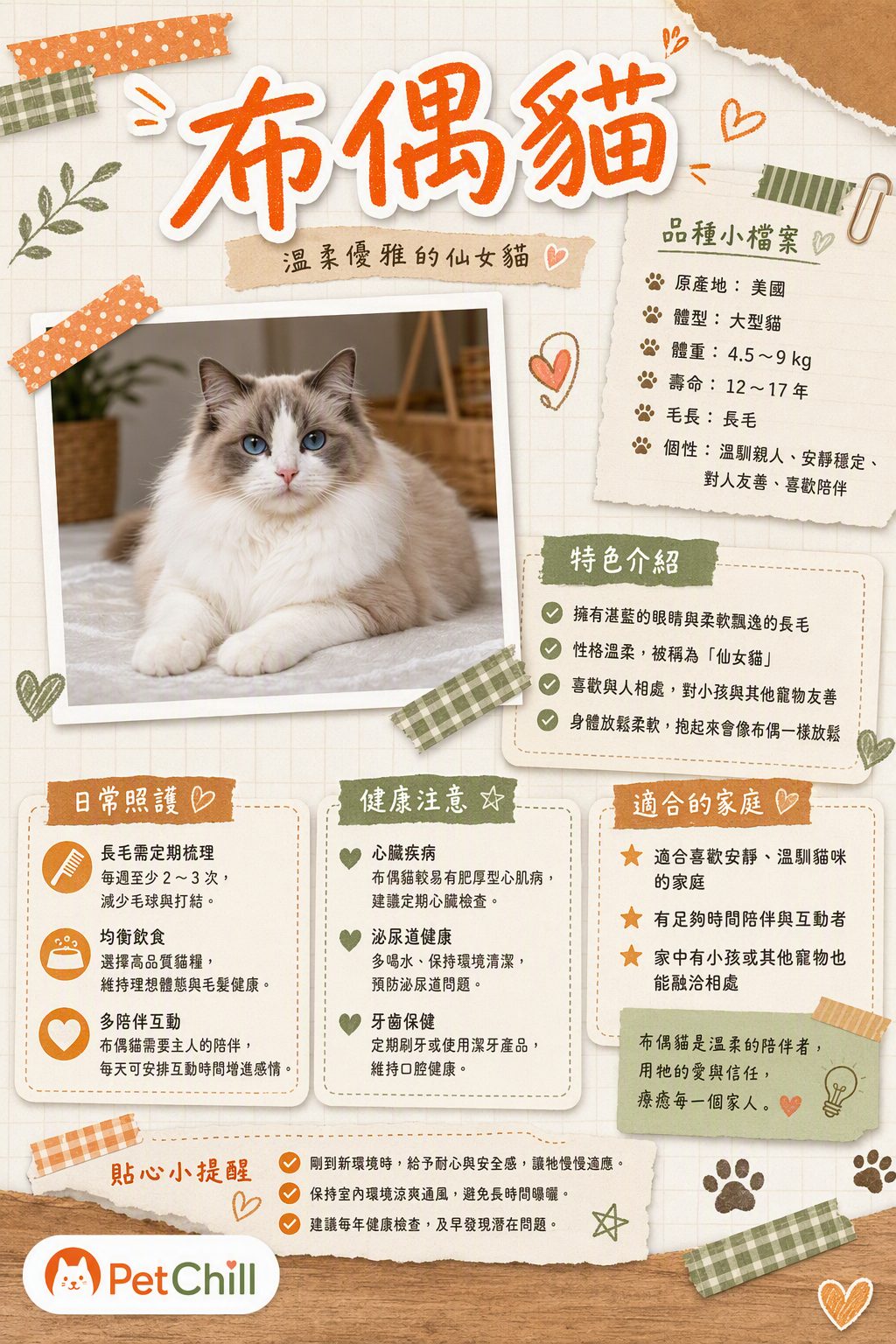 章節主題