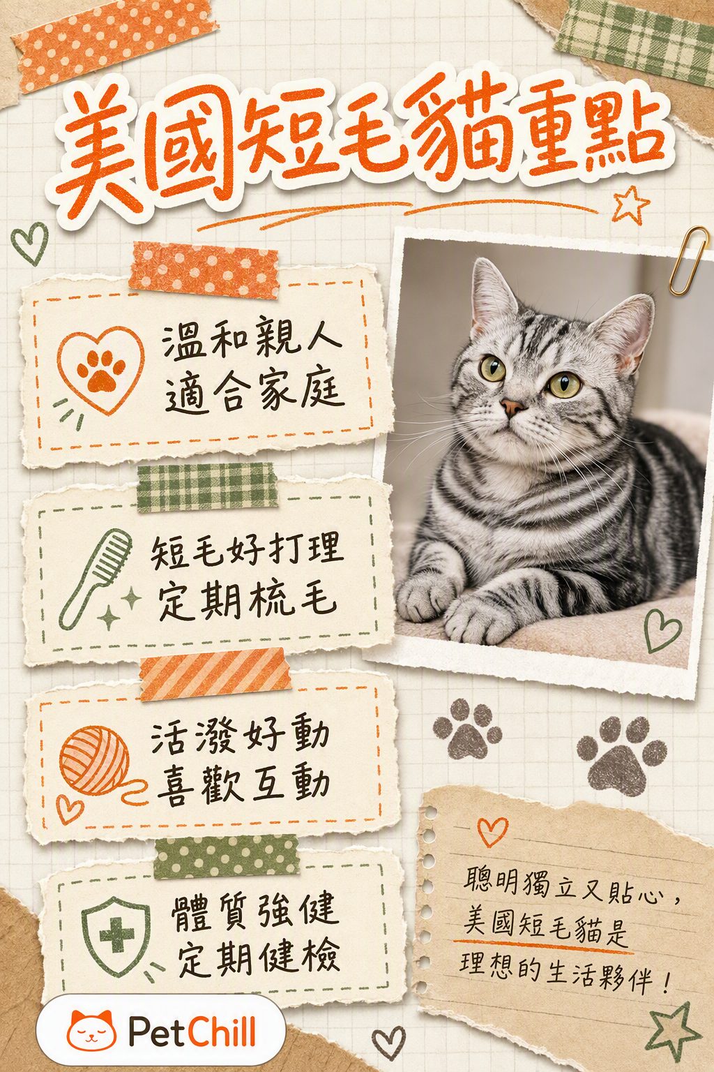 章節內容