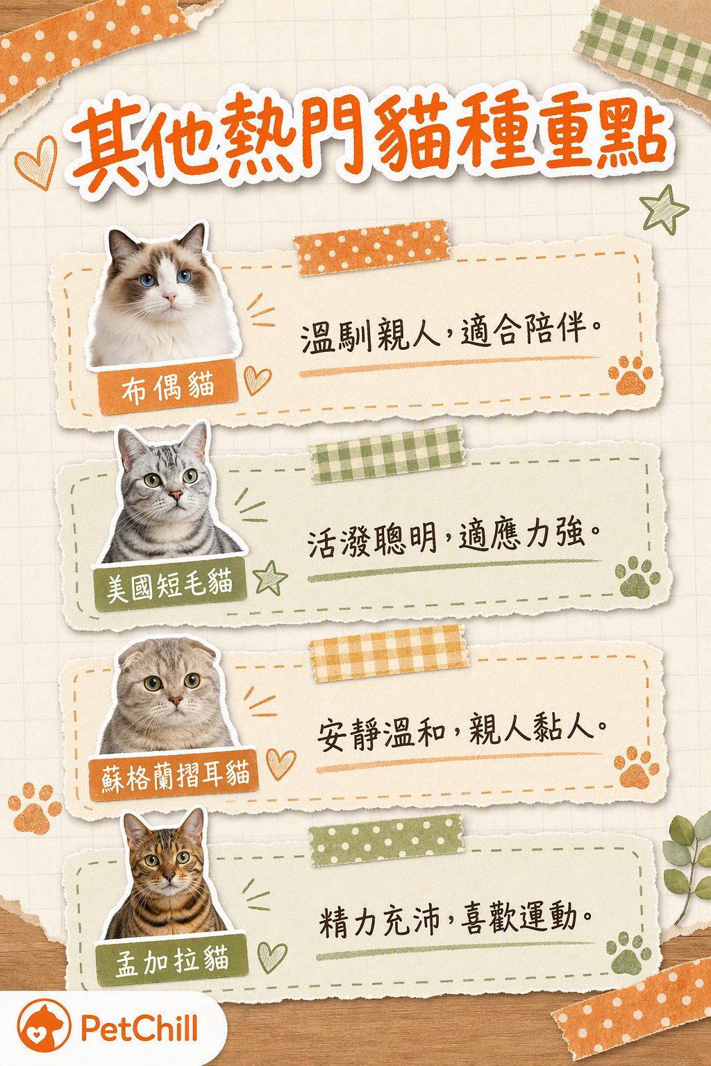 章節內容
