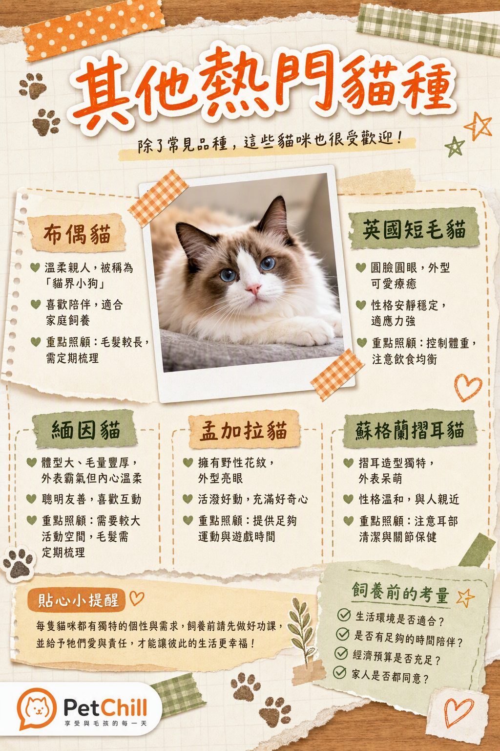 章節主題