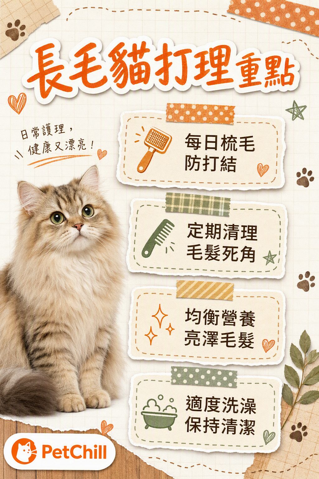 章節內容
