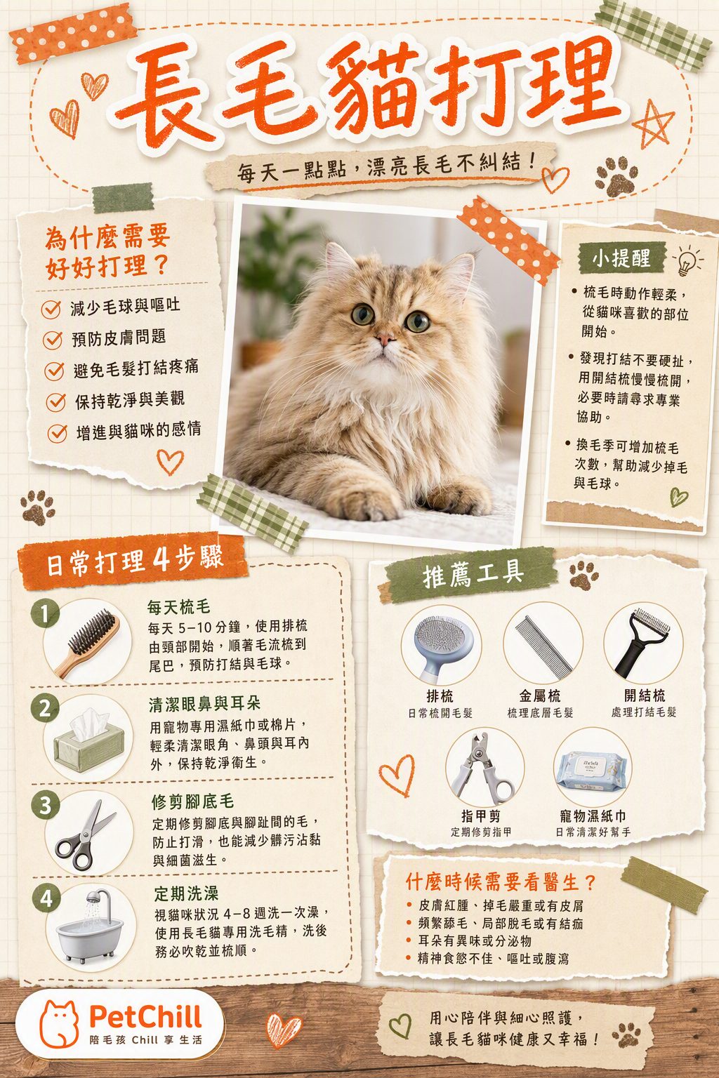 章節主題