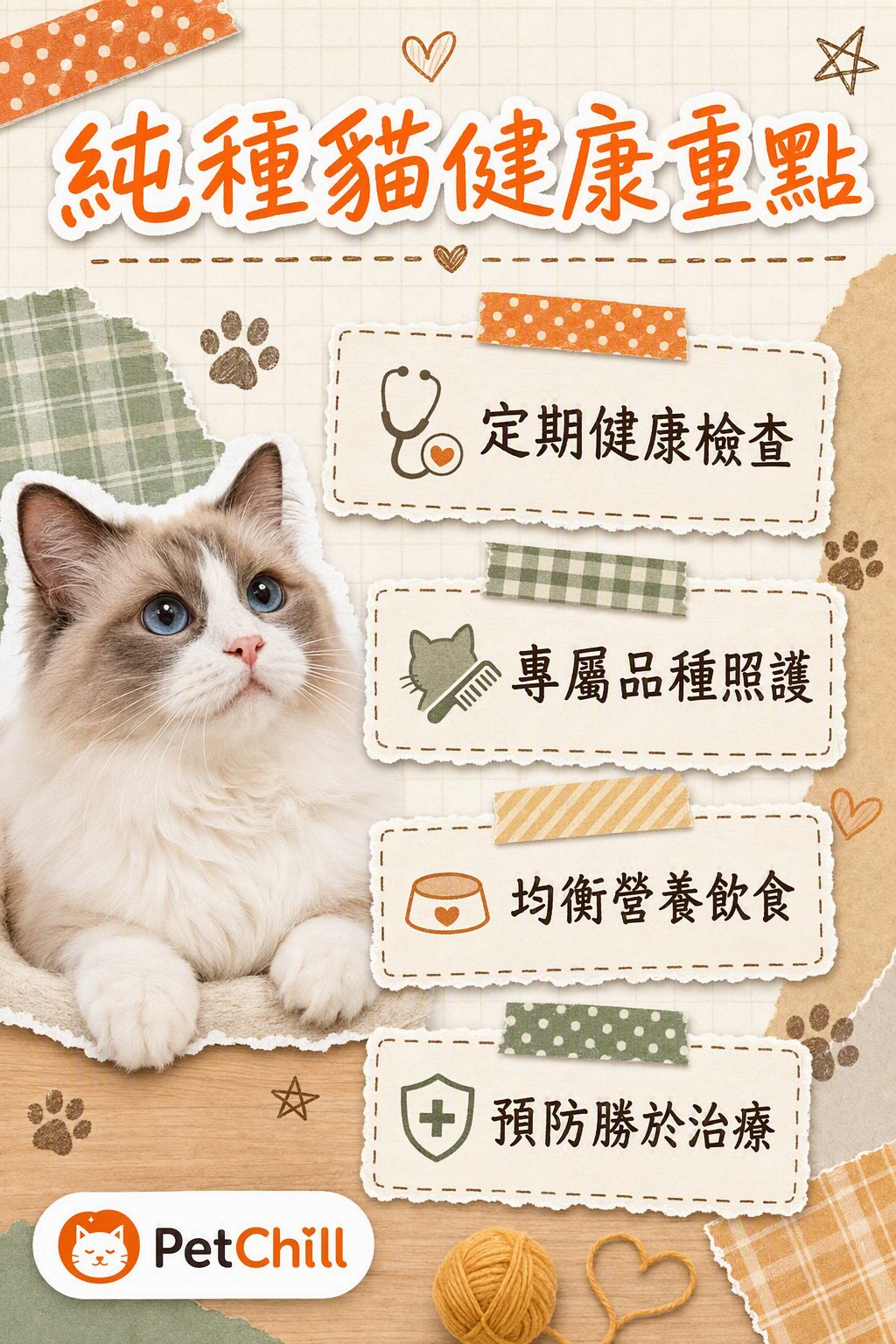 章節內容
