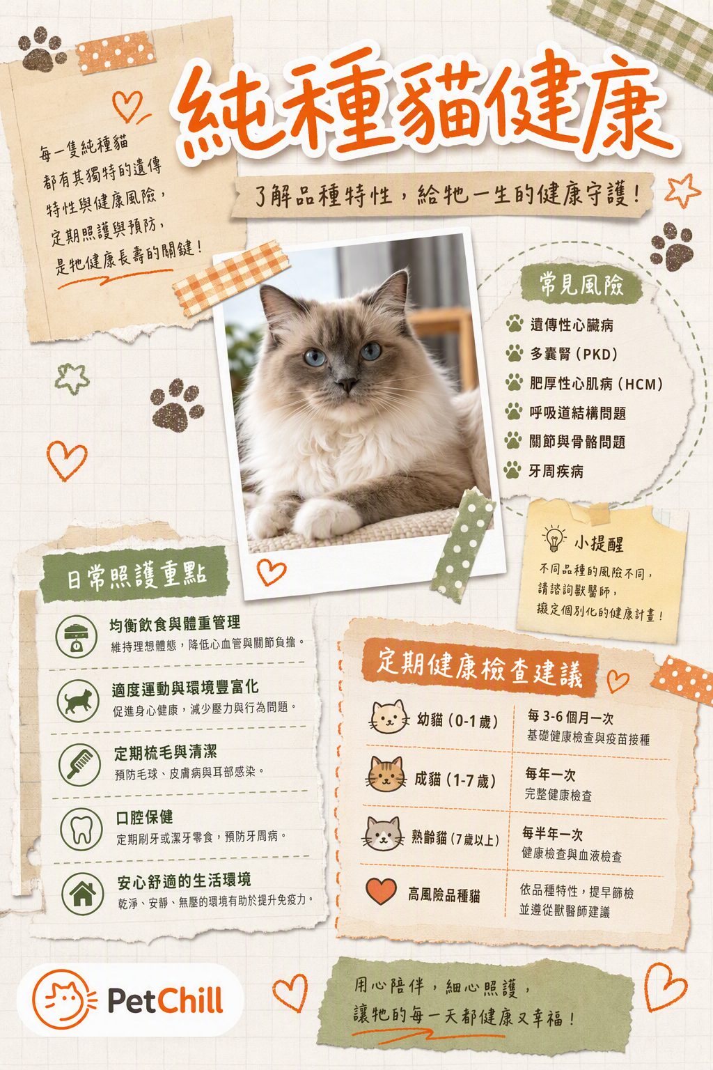 章節主題