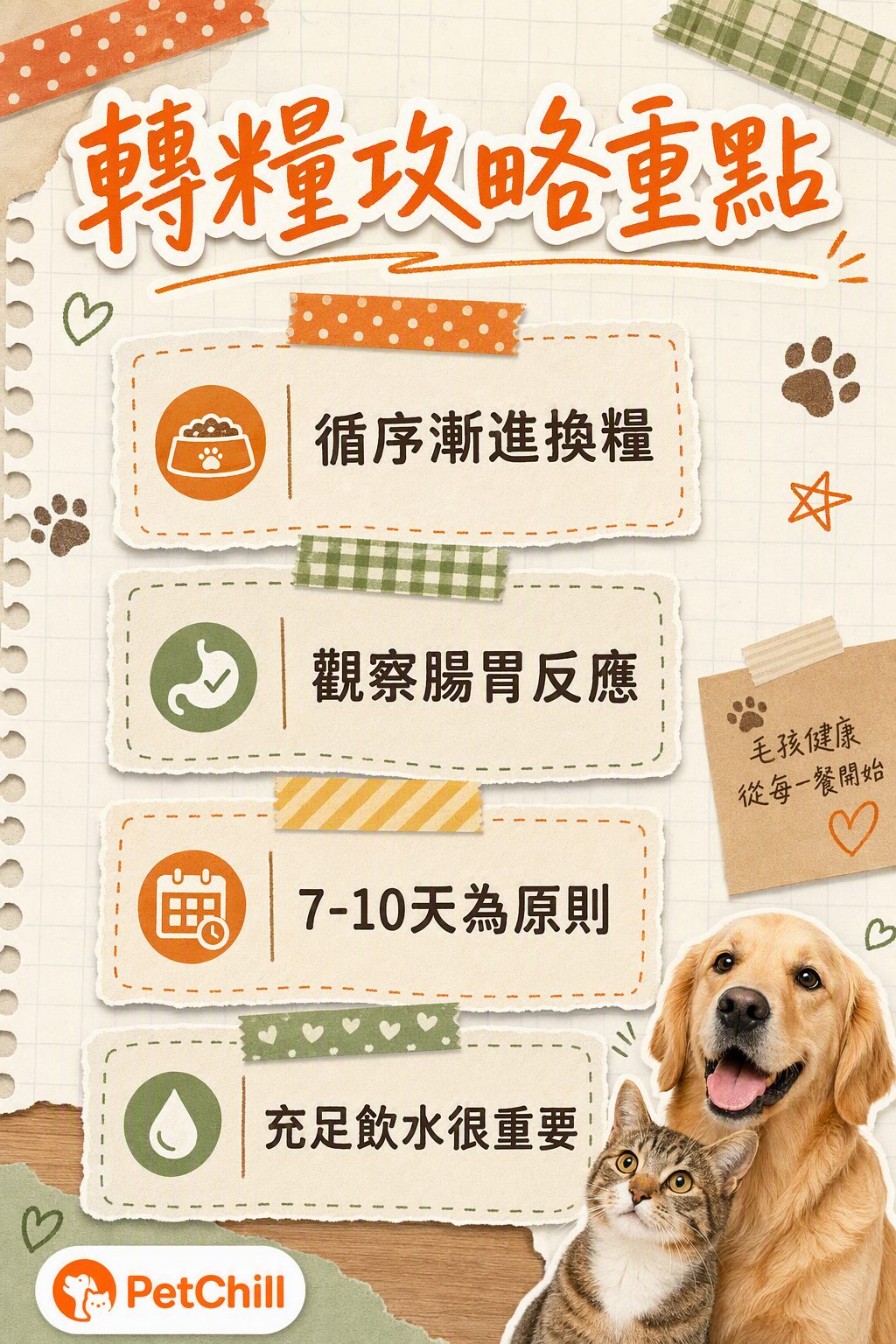 章節內容
