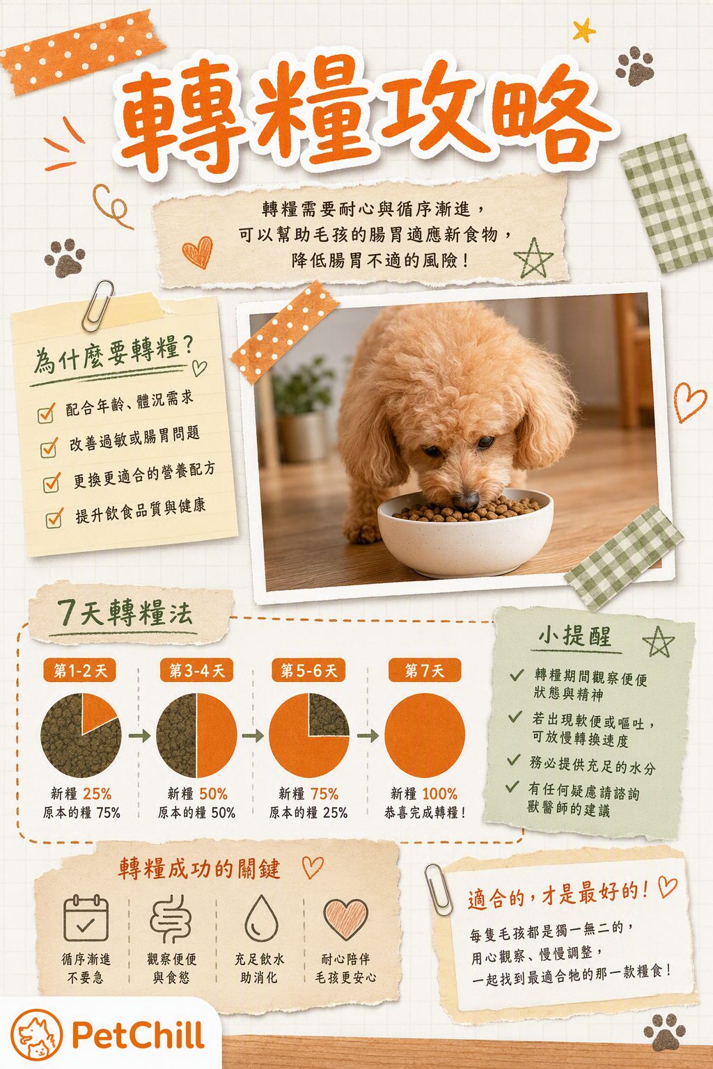 章節主題
