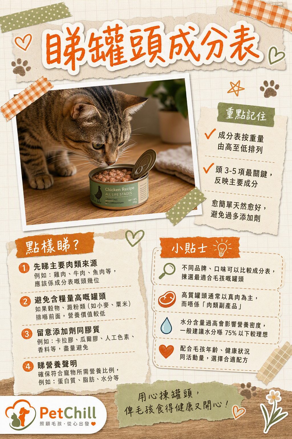 章節主題