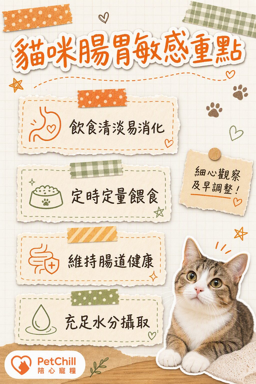章節內容