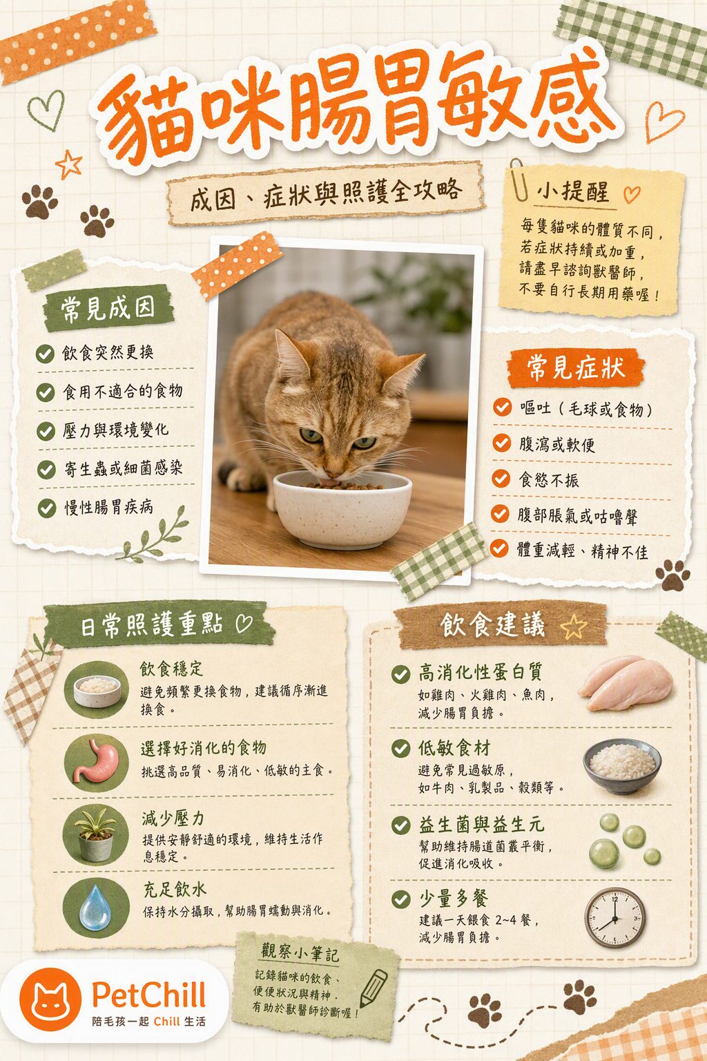 章節主題