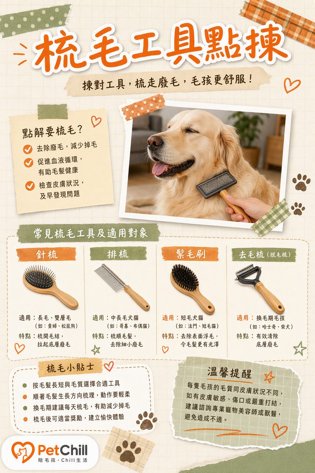 章節主題
