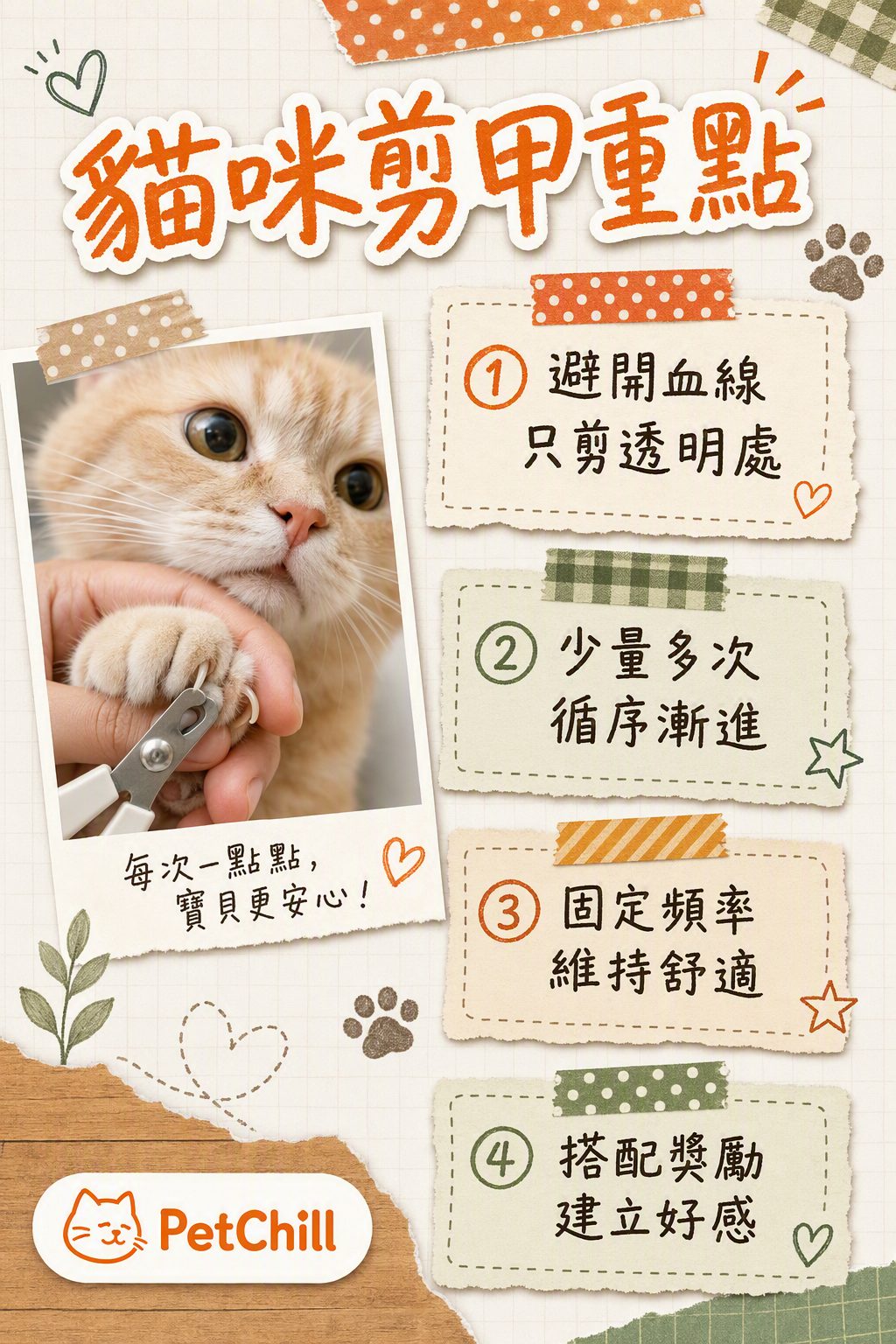 章節內容