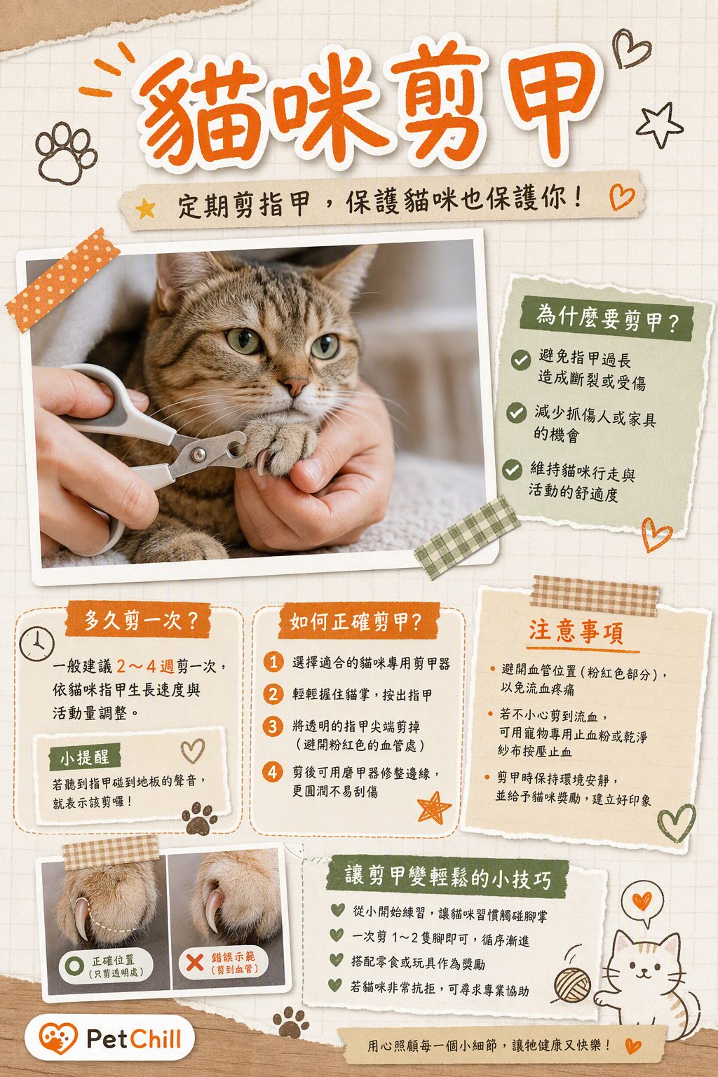 章節主題